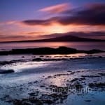 Avatar de Arturo Zúñiga